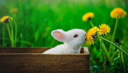 九游-勇士赛后安排心理辅导缓解球员精神压力，勇士队内训练赛