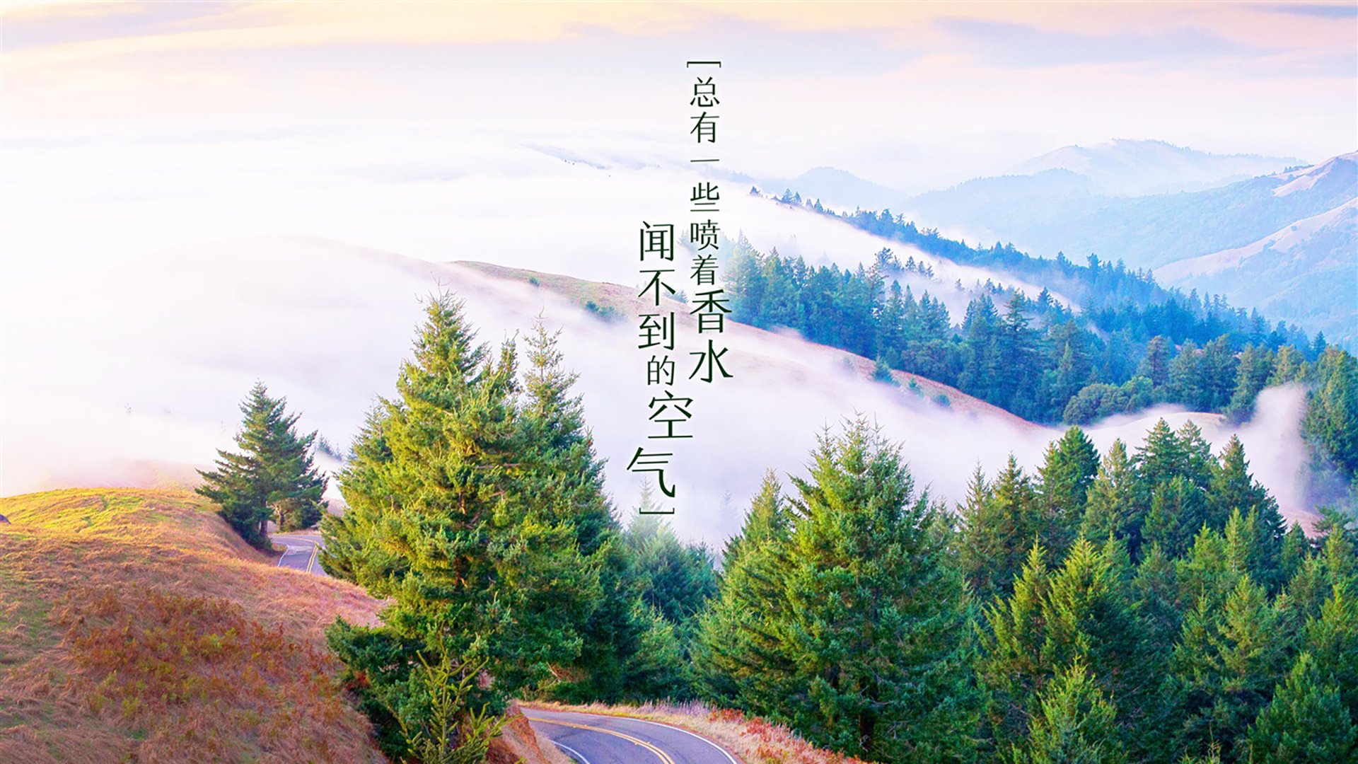 史上最华丽的“突破过人”瞬间，视觉盛宴！，突破 top