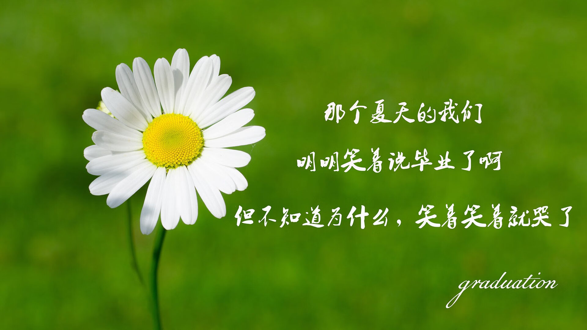 数字化管理助力中国篮球赛事高效运营，数字篮球馆