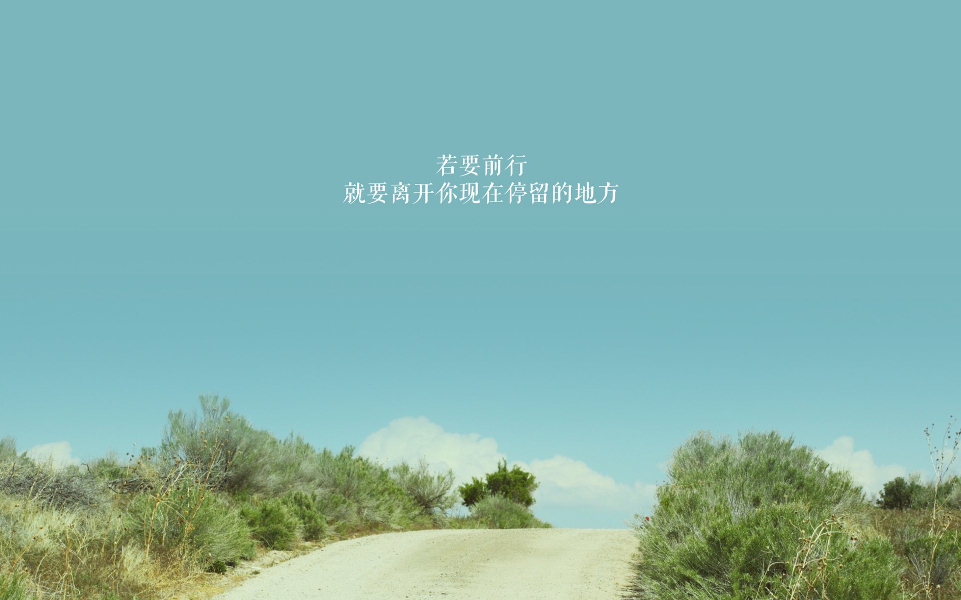 足球数据平台上线，提供全面信息，足球数据哪个网站好