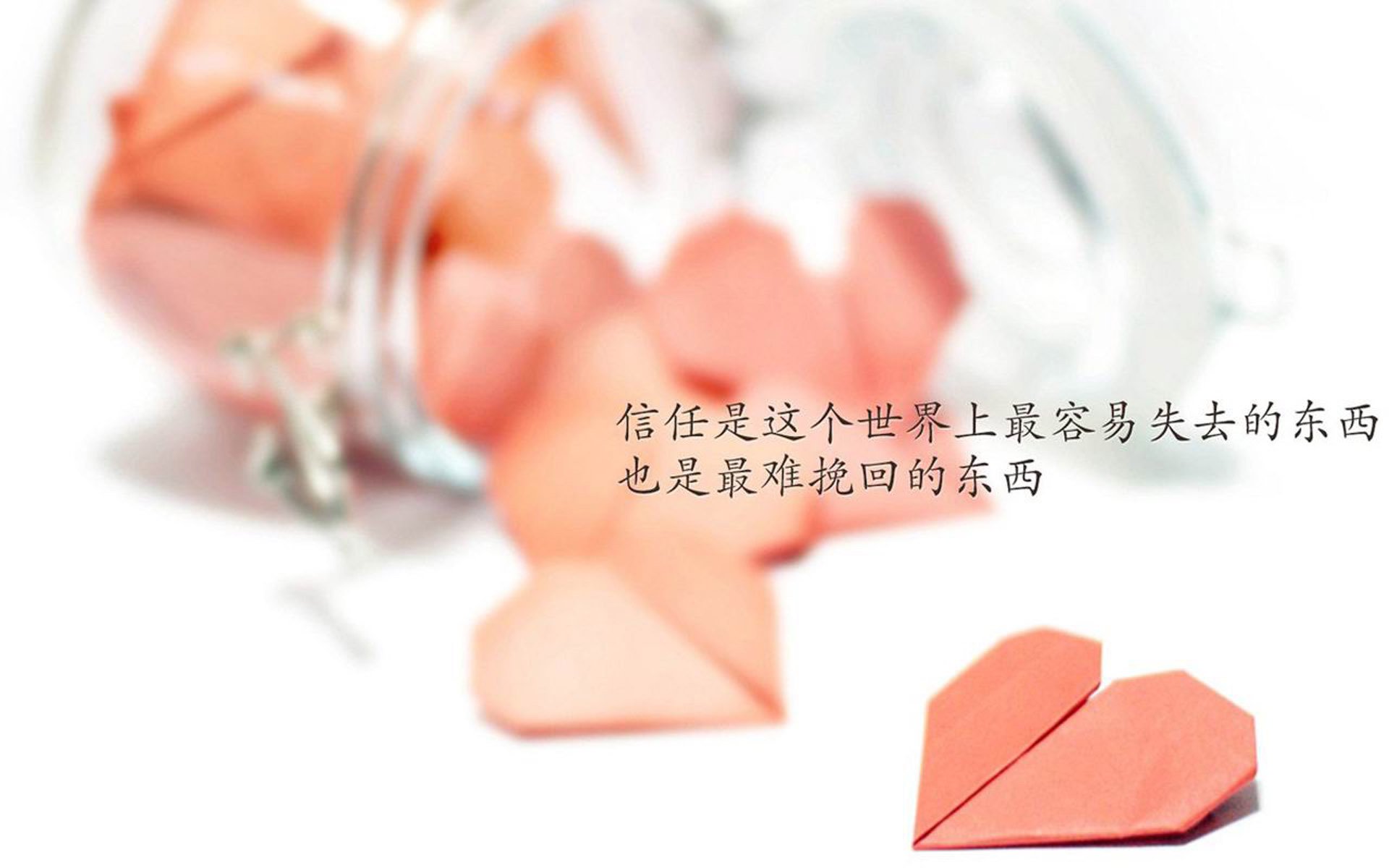 新晋选手一战成名，新晋选手一战成名是谁