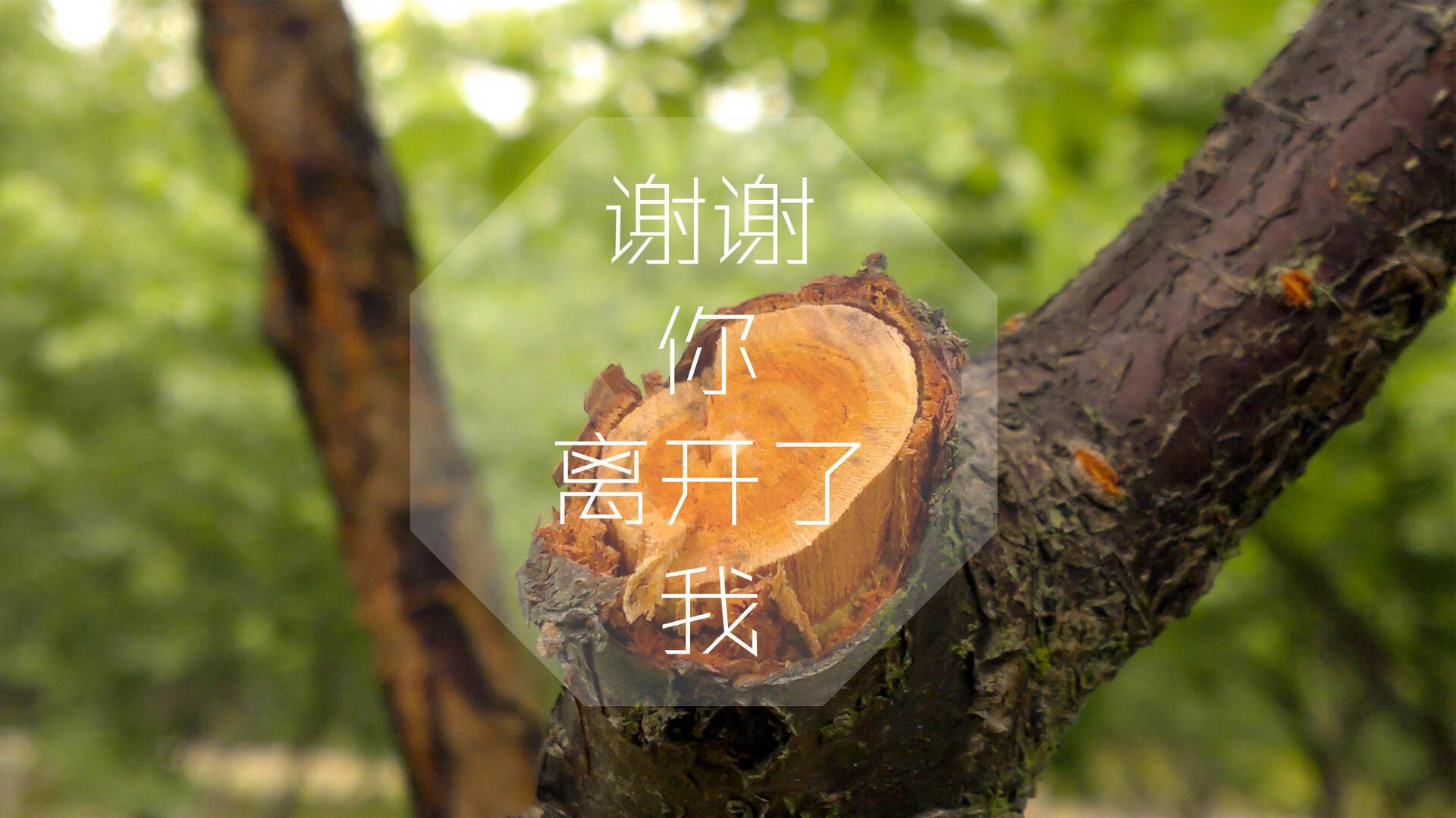 波尔多队球员马丁内斯因伤无缘参加下一场比赛，马德里体育会对波尔图