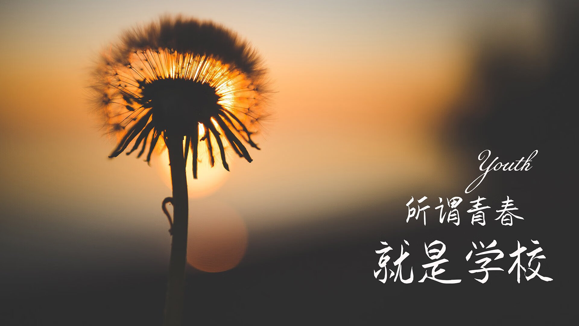 加拿大队赛制透视：如何通过赛制调整优化球队的发挥，加拿大队篮球