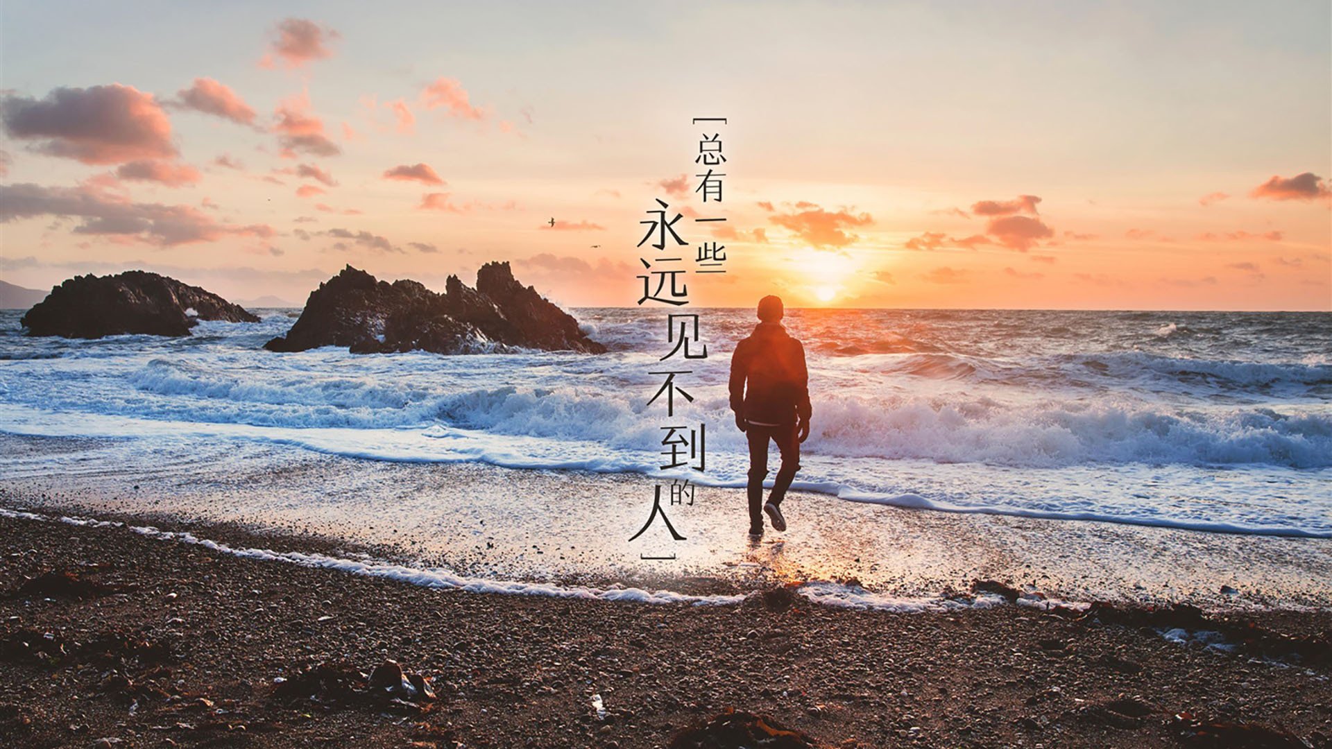 浙江雄狮通过全员跑动打出高效进攻节奏，浙江雄狮烟现在还卖吗
