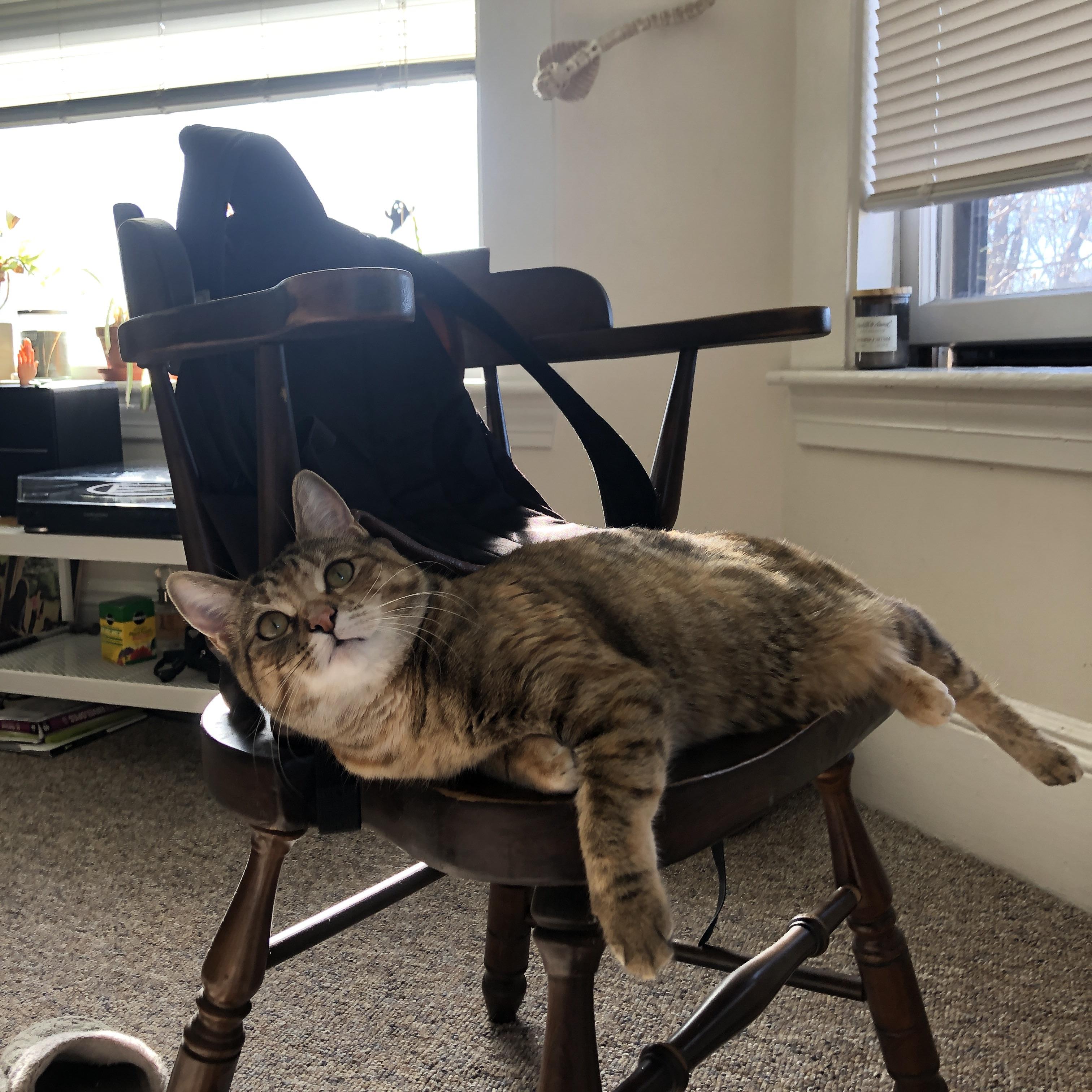 九游sports-英超最后一搏：决战时刻，拼搏到底！，英超最后一轮分析