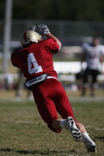 九游娱乐(jiuyou)官网-袋鼠队以全面防守为基础，确保进攻效率，袋鼠选手